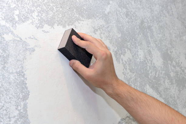 Best Dehumidification Services  in Green Cove Springs, FL